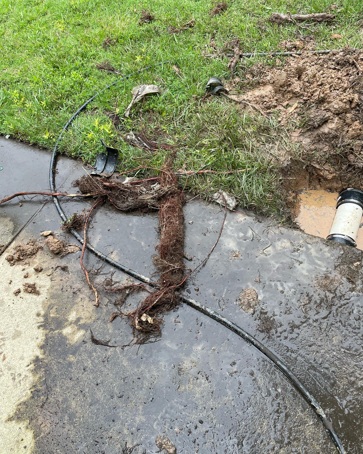 Drain Cleaning in Cary NC