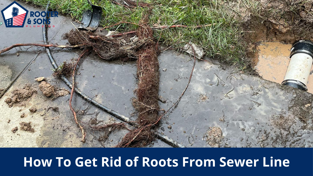 How To Get Rid of Roots From Sewer Line